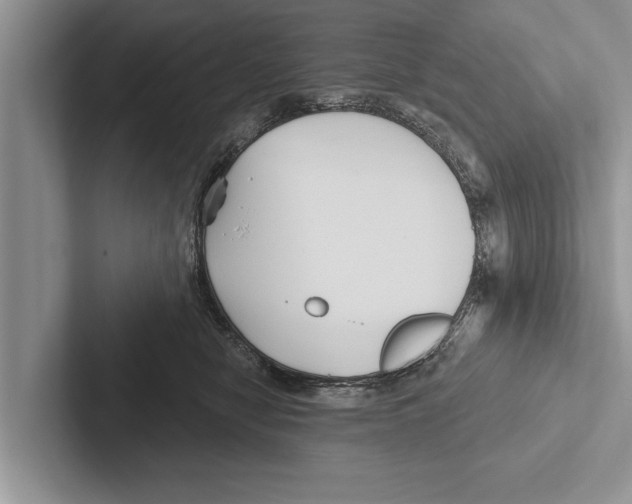 X0000102540470200809051536