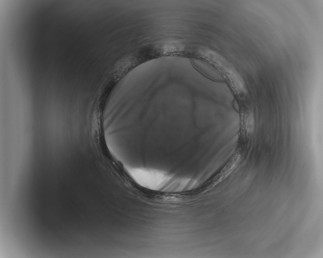 X0000102540475200809051536