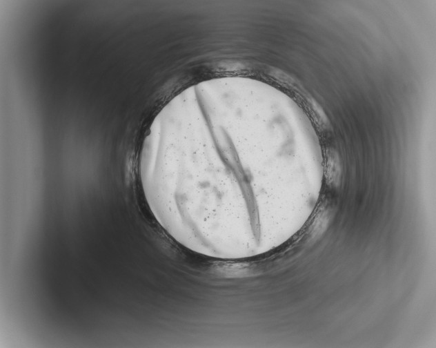 X0000102540476200809051536