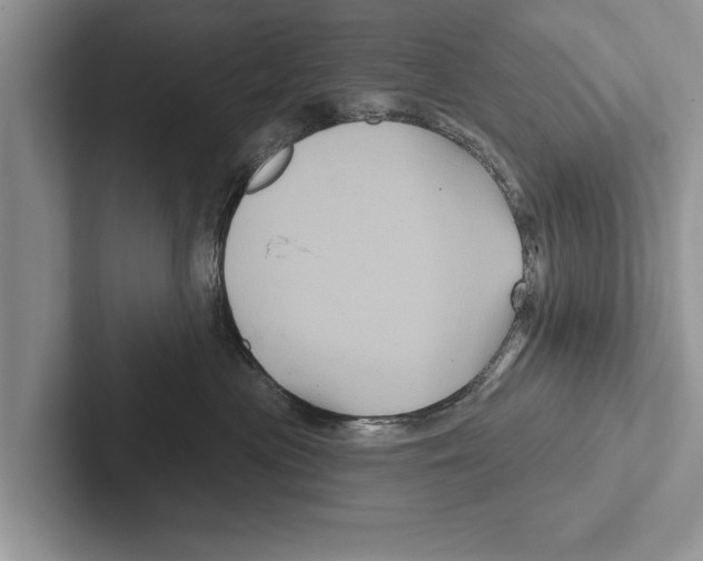 X0000102540477200809051536