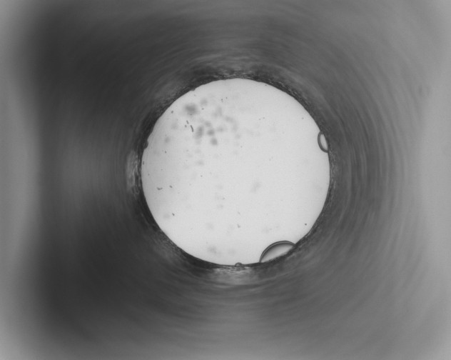 X0000102540480200809051536