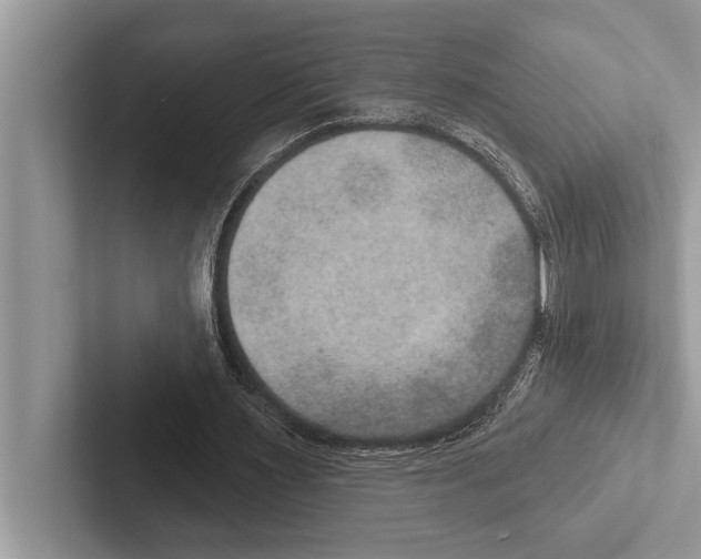 X0000102540483200809051536