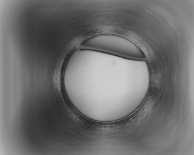 X0000102540485200809051536