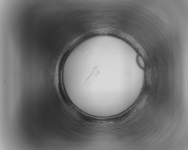 X0000102540486200809051536