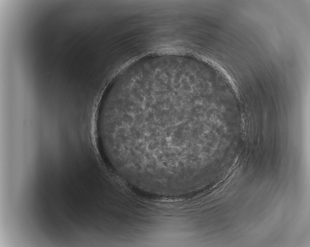 X0000102540487200809051536