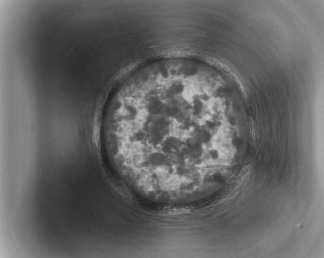 X0000102540491200809051536