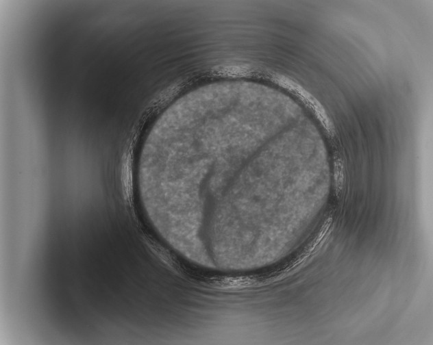 X0000102540493200809051536