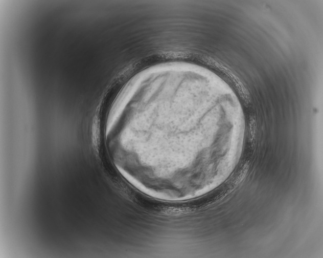 X0000102540494200809051536
