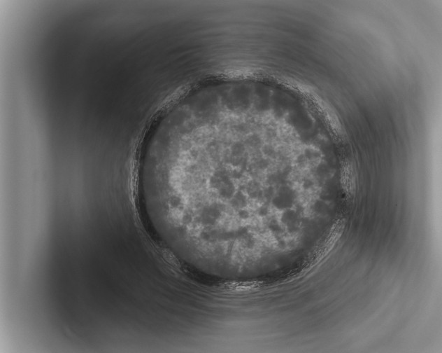 X0000102540495200809051536