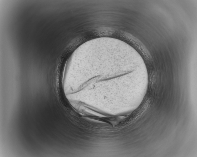 X0000102540501200809051535