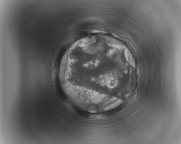 X0000102540503200809051535