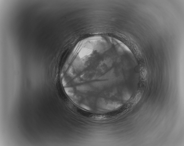 X0000102540507200809051535