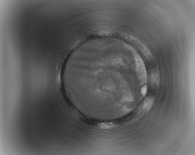 X0000102540508200809051535