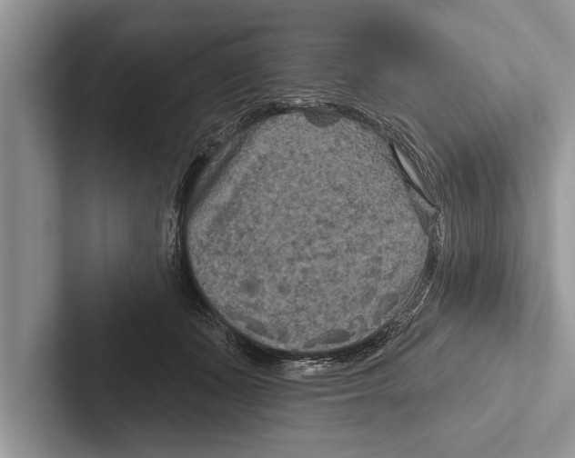 X0000102540511200809051535