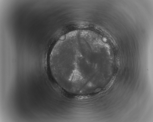 X0000102540512200809051535