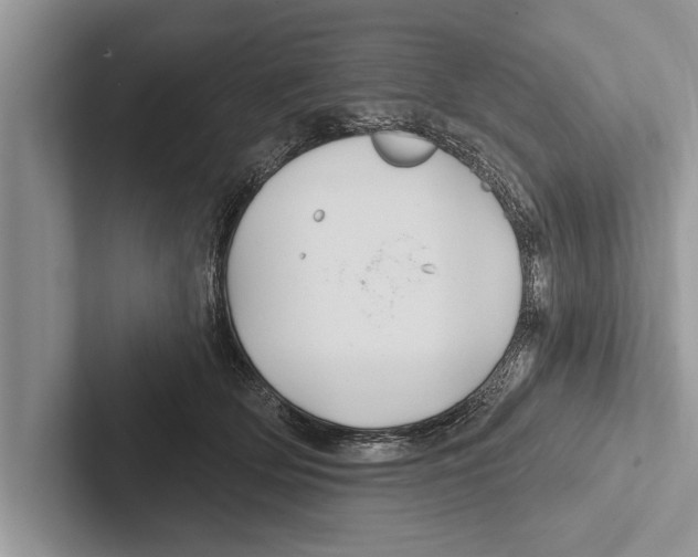 X0000102540514200809051535