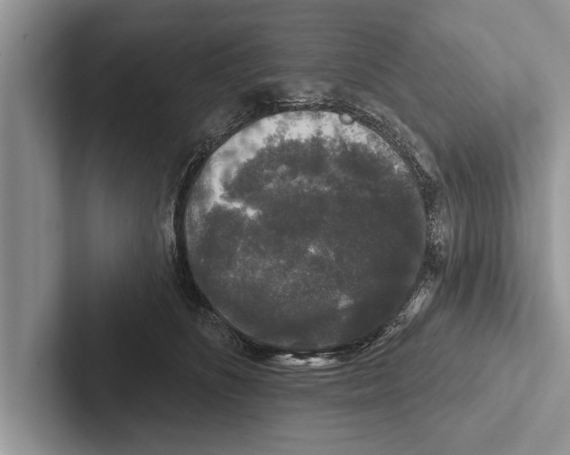 X0000102540516200809051535