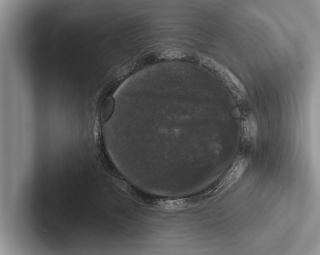 X0000102540517200809051535