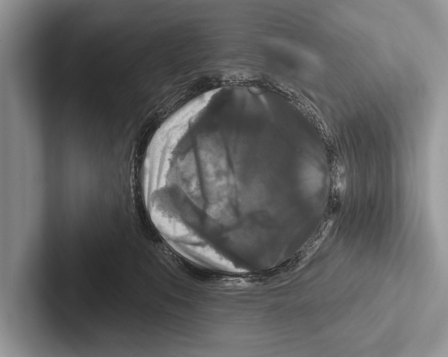 X0000102540519200809051535