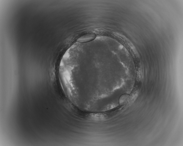 X0000102540520200809051535