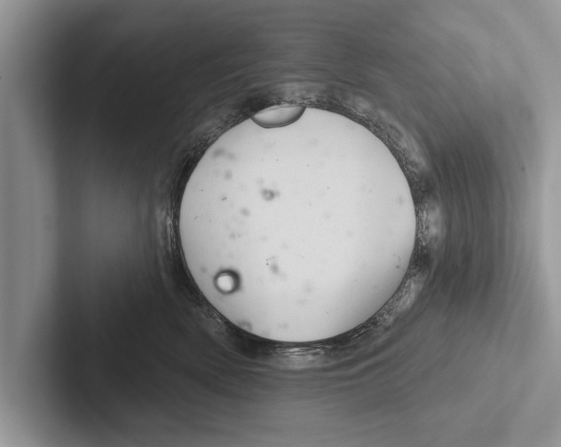 X0000102540522200809051535