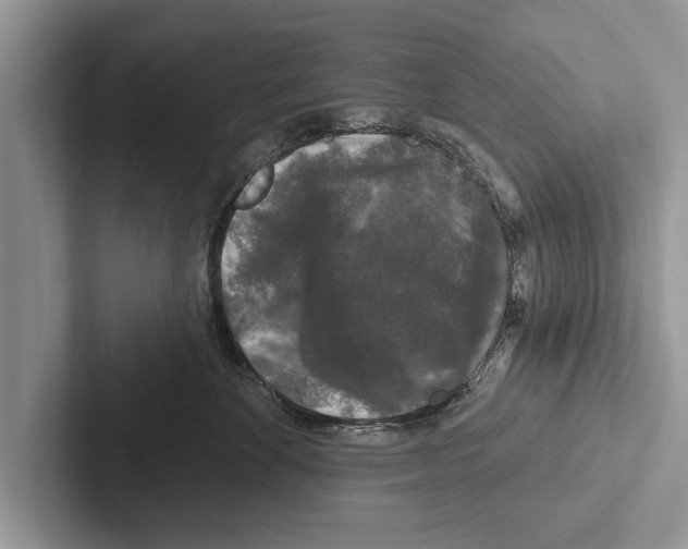 X0000102540524200809051535