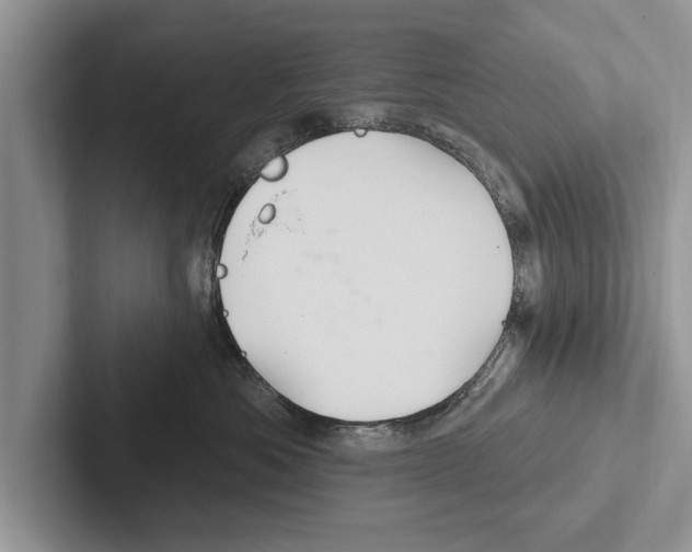 X0000102540525200809051535