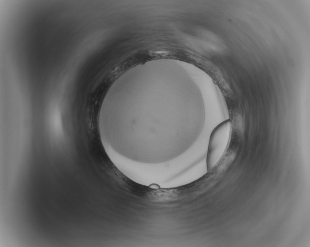 X0000102540526200809051535