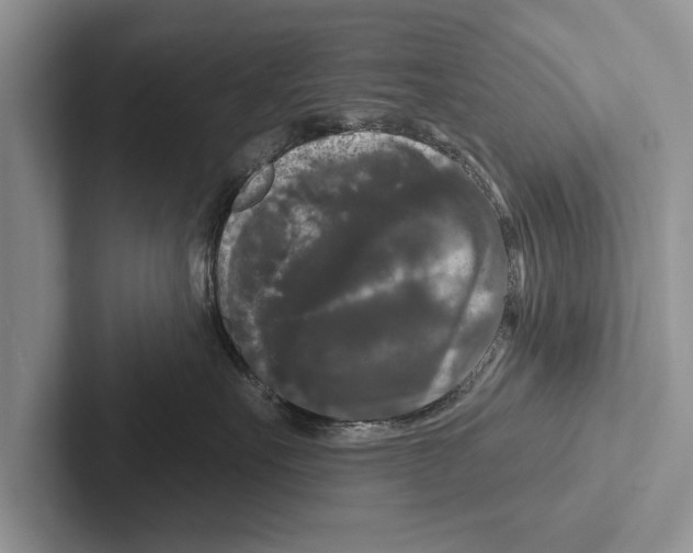 X0000102540527200809051535