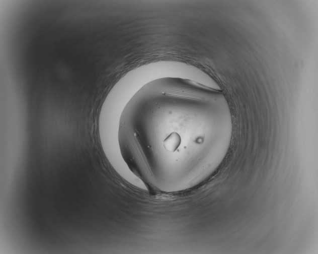 X0000102540528200809051535