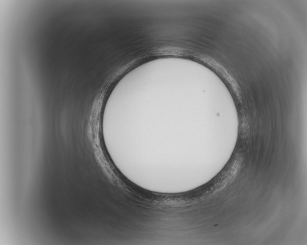 X0000102540529200809051534