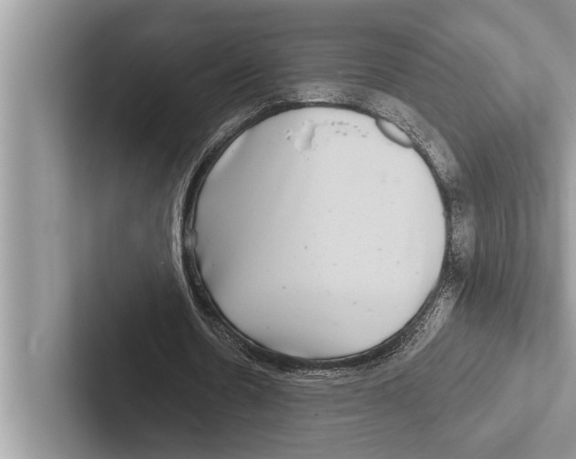 X0000102540530200809051534