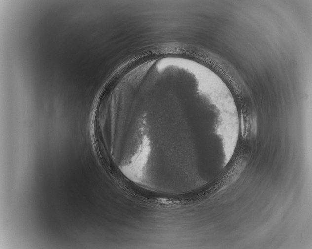 X0000102540531200809051534