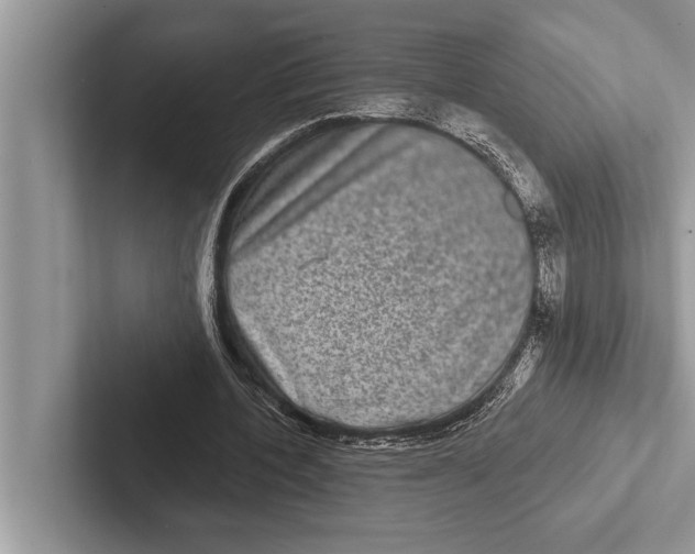 X0000102540532200809051534