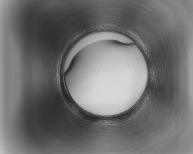 X0000102540538200809051535