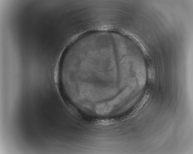 X0000102540540200809051535