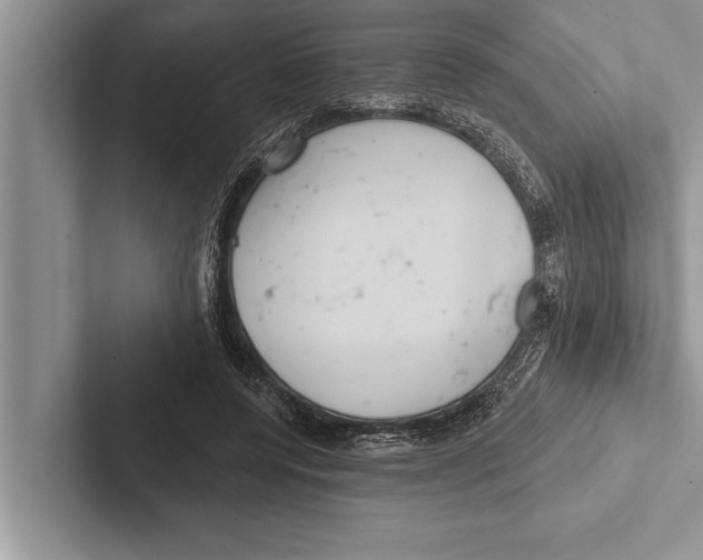X0000102540544200809051535