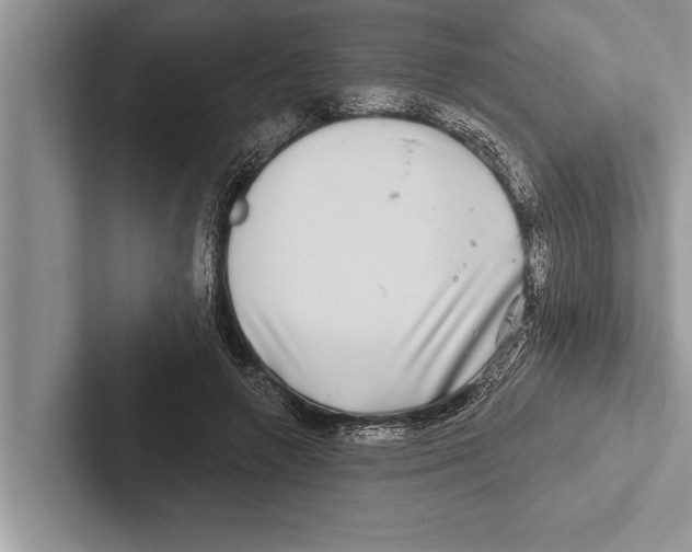 X0000102540546200809051535