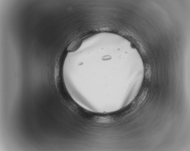 X0000102540548200809051535