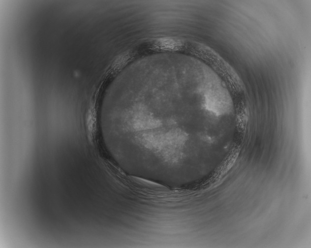 X0000102540552200809051535