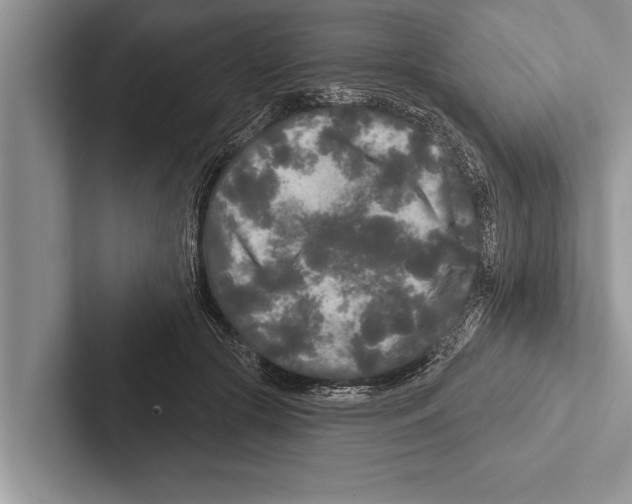 X0000102540553200809051535