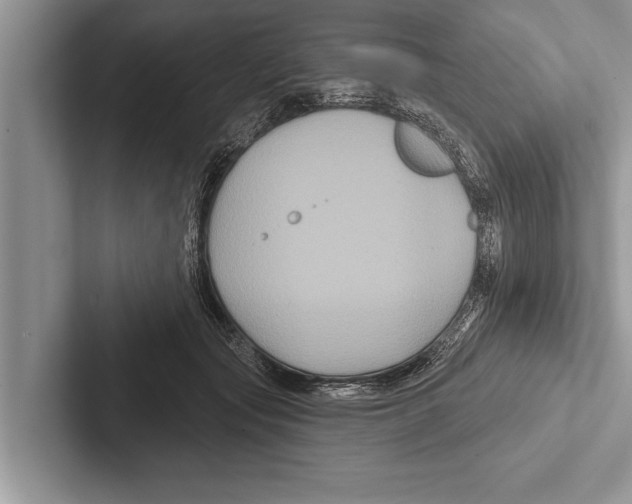 X0000102540557200809051535