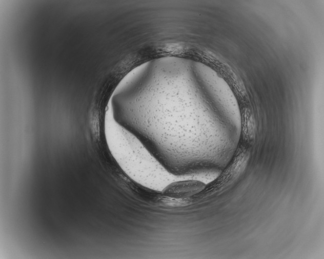 X0000102540562200809051535
