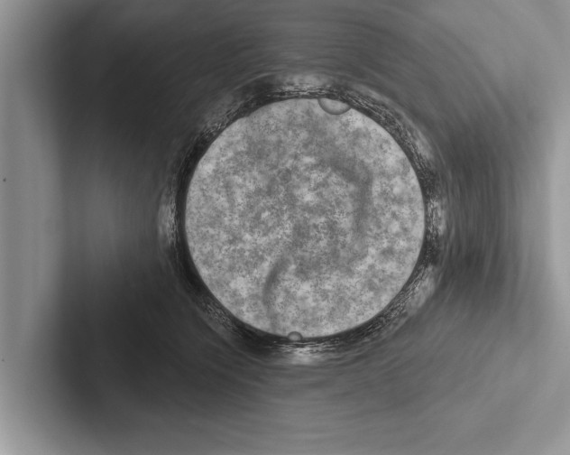 X0000102540564200809051535