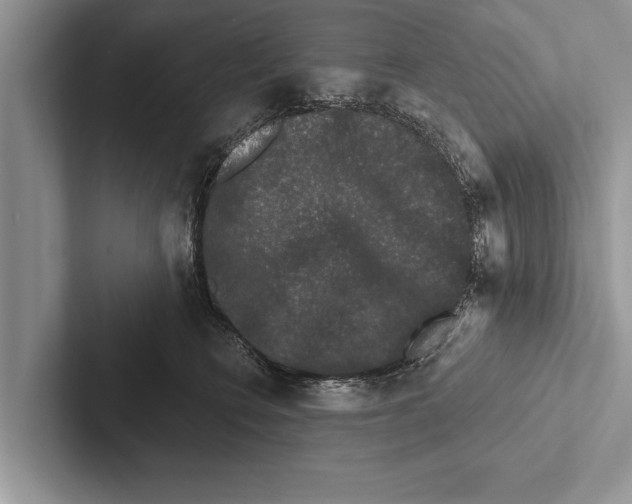 X0000102540566200809051535