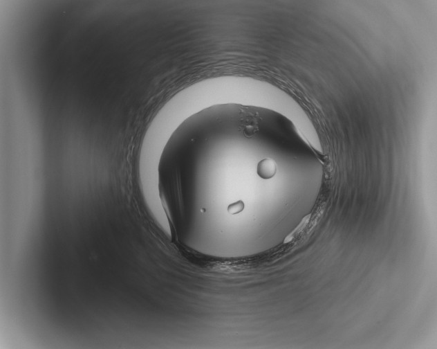 X0000102540568200809051535