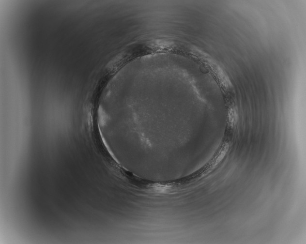 X0000102540570200809051535