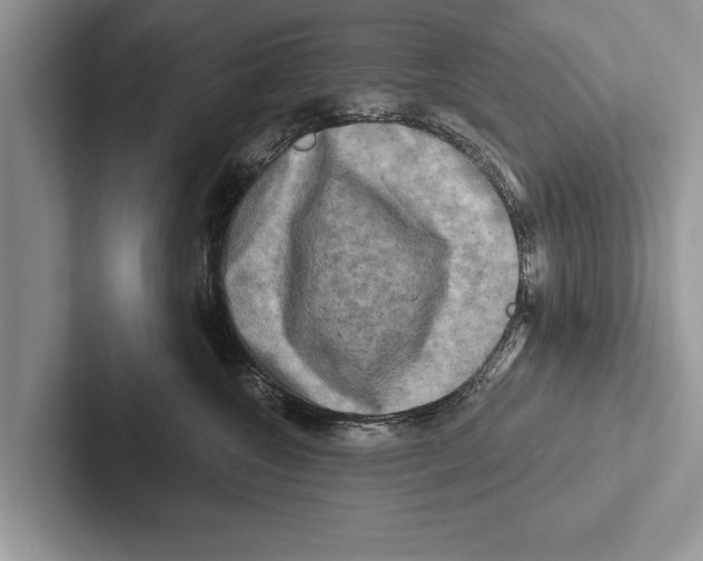 X0000102540572200809051535