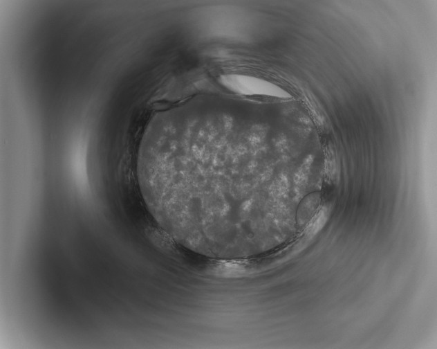 X0000102540573200809051535
