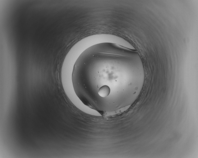 X0000102540576200809051535